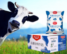 投资配资公司-这个财报季该买那些股票？策略师选择这三只