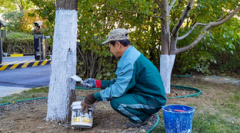网上炒股配资-缅甸佤邦禁矿引爆市场沪锡期货暴涨12%巨大锡矿缺口何以填补