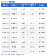 配资炒股平台:热点题材数字水印概念是什么？热门概念股有哪些