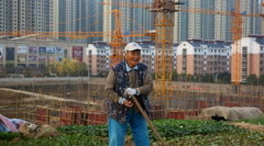 配资公司合作-马斯克亲测的减肥神药在中国获受理哪些港股药企已布局？