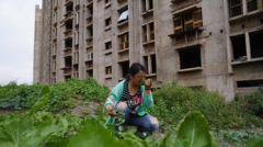 线下配资公司操作流程-港股芯片概念股继续走强中芯国际领涨23年内行业周期将