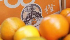 线下配资公司- 5月23日一只新股申购 值得打吗？