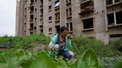 配资开户-机器视觉及工业软件开发提供商智信精密开启申购对苹果产业链存在重大依赖风险
