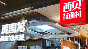 股票配资系统-券商先行 是不是春江水暖鸭先知？