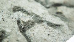 配资炒股平台:净利近腰斩 华新水泥业绩连续三年下滑 市值较高点缩水超40%