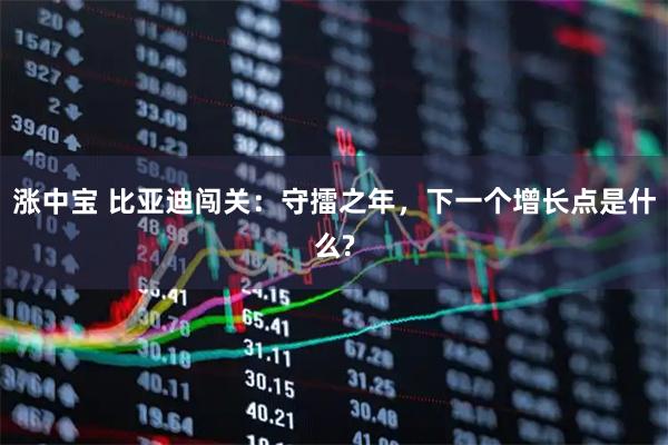 涨中宝 比亚迪闯关：守擂之年，下一个增长点是什么?